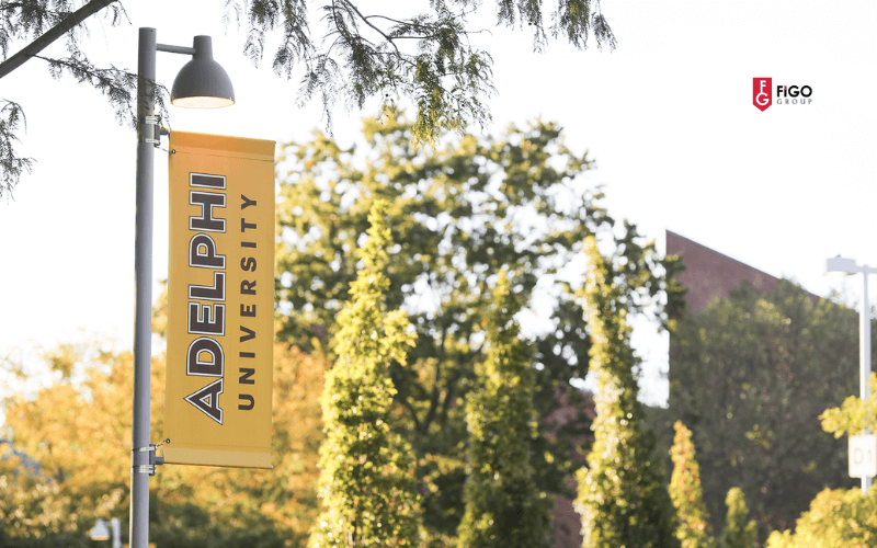 Đại học Academy of Art University