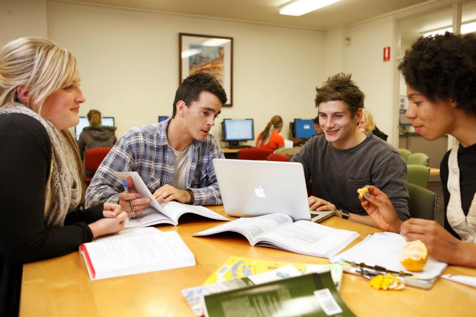 cc3a1c20chc6b0c6a1ng20trc3acnh20c491c3a0o20te1baa1o20vc3a020c491ie1bb81u20kie1bb87n20nhe1baadp20he1bb8dc Các chương trình đào tạo và điều kiện nhập học