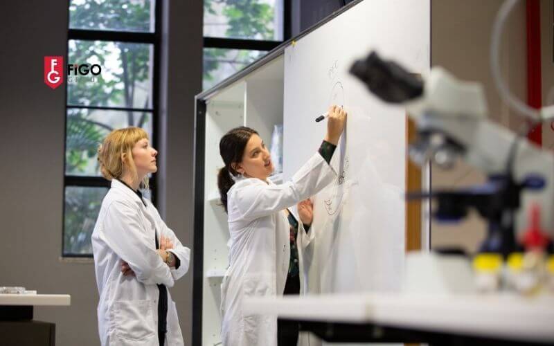 cc6a120he1bb99i20vie1bb87c20lc3a0m20sau20te1bb91t20nghie1bb87p20cao20hc6a1n20 Du học Úc vùng Regional có Cơ hội việc làm sau tốt nghiệp cao hơn