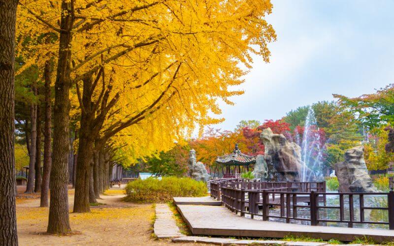 Cơ hội việc làm và định cư sau du học