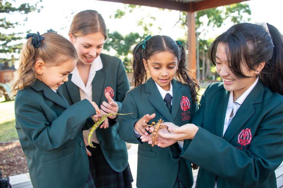 chc6b0c6a1ng20trc3acnh20he1bb8dc20thue1baadt20cho20he1bb8dc20sinh20que1bb91c20te1babf202 Chương trình học thuật cho học sinh quốc tế