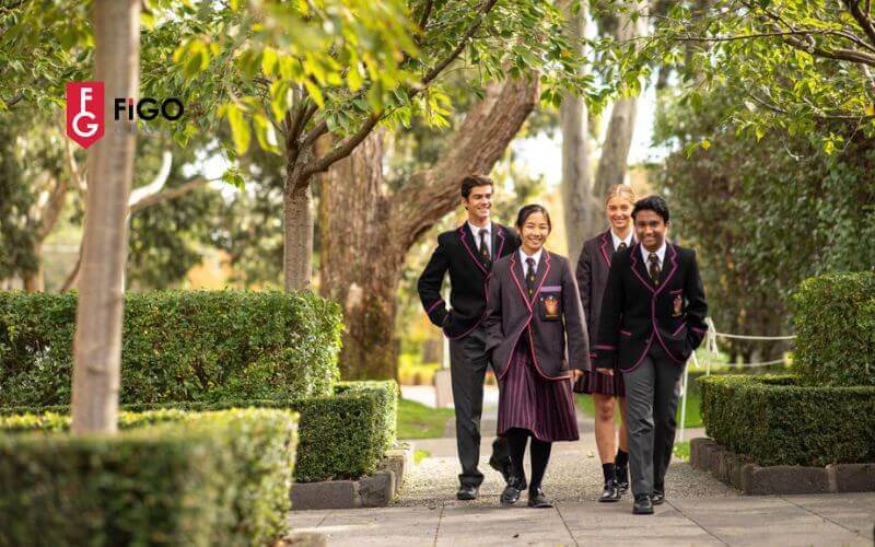 Chương trình học thuật trường Haileybury College