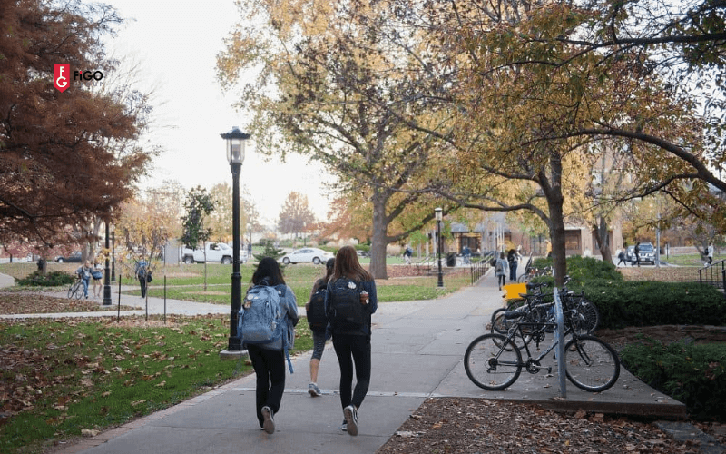 Du học Mỹ nên chọn trường nào