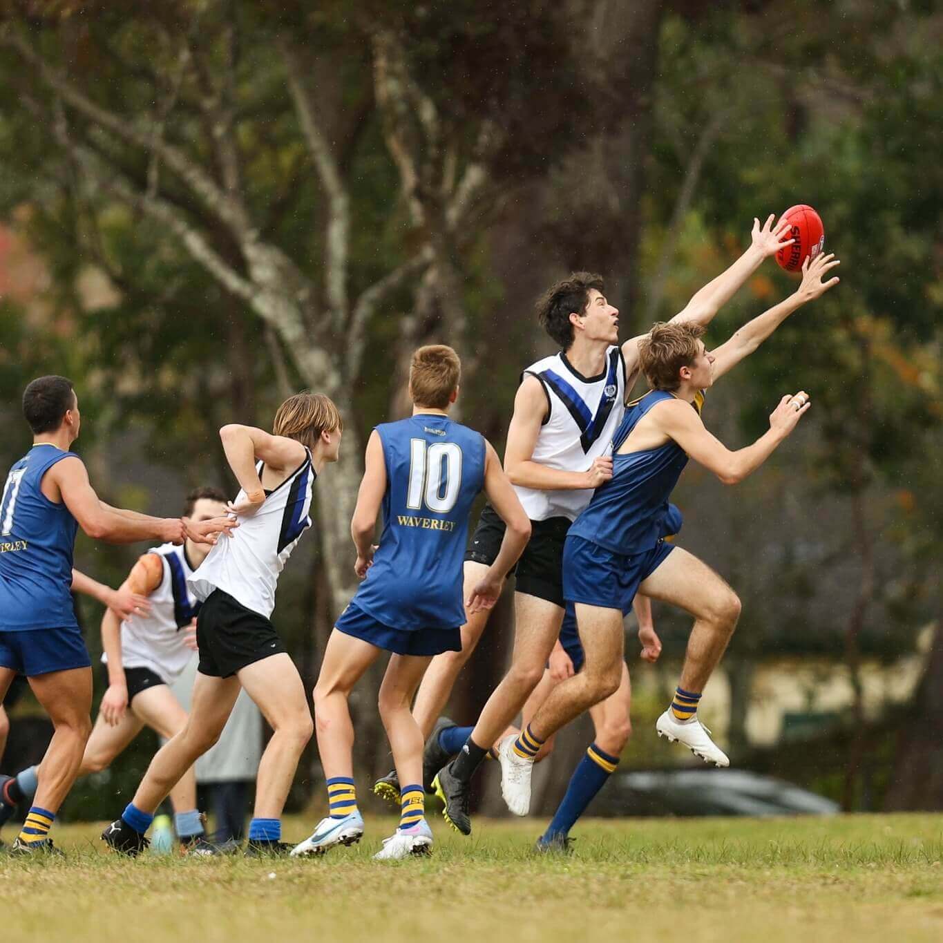 hoe1baa1t20c491e1bb99ng20ngoe1baa1i20khc3b3a20knox20grammar20school20201 hoạt động ngoại khóa Knox Grammar School