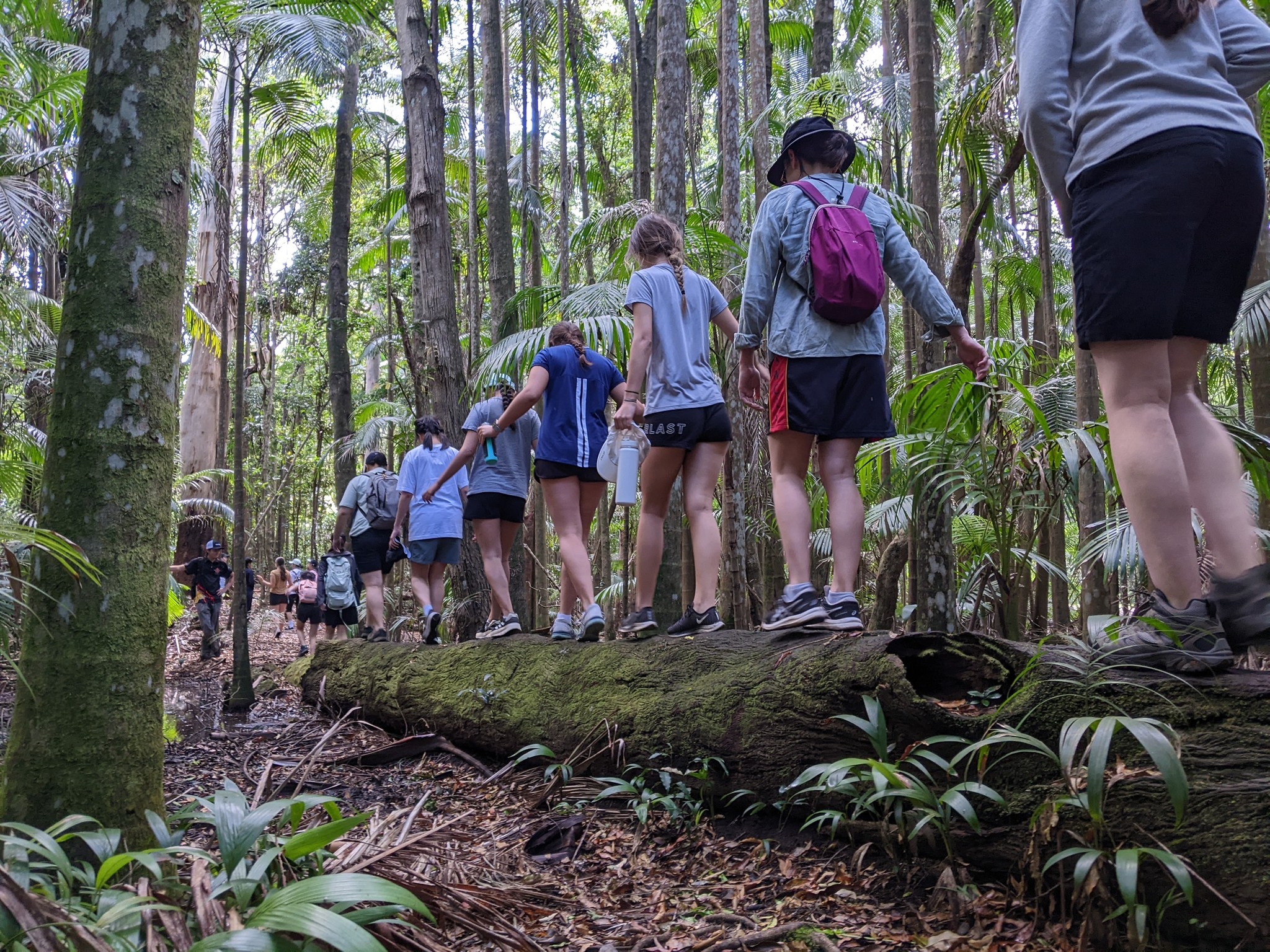 hoe1baa1t20c491e1bb99ng20ngoe1baa1i20khc3b3a20trc6b0e1bb9dng20meridian20school204 Hoạt động ngoại khóa trường Meridian School