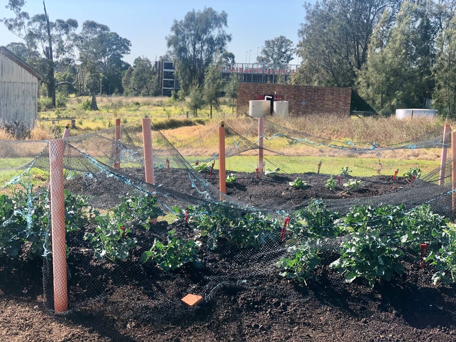 hoe1baa1t20c491e1bb99ng20ngoe1baa1i20khc3b3a20vc3a020he1bb9720tre1bba320he1bb8dc20te1baadp202 Hoạt động ngoại khóa và hỗ trợ học tập