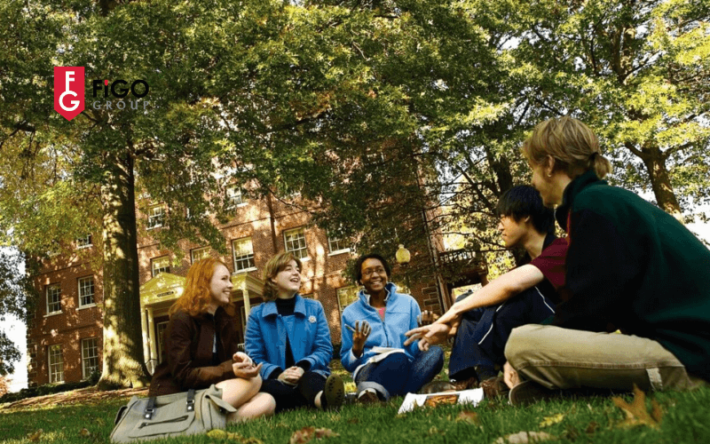 Trường National University là gì