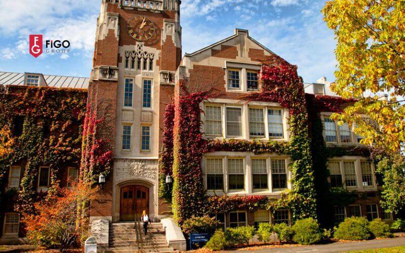 suny20college20at20oneonta20trc6b0e1bb9dng20c491e1baa1i20he1bb8dc20re1babb20e1bb9f20me1bbb9 SUNY College at Oneonta là trường đại học kinh doanh rẻ ở Mỹ