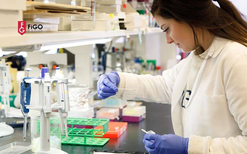 te1baa1i20sao20nc3aan20du20he1bb8dc20the1baa1c20sc4a920khoa20he1bb8dc20ms20e1bb9f20me1bbb9 Tại sao nên du học Thạc sĩ Khoa học MS ở Mỹ