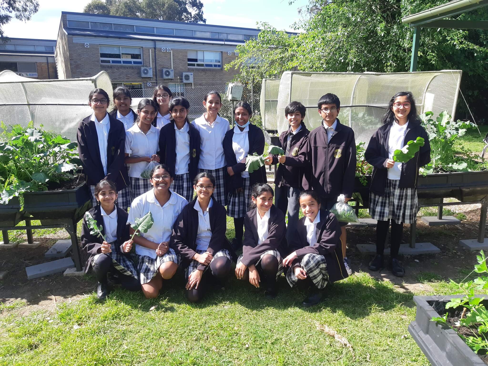 thc3b4ng20tin20te1bb95ng20quan20ve1bb8120trc6b0e1bb9dng20trung20he1bb8dc20girraween20high20school Thông tin tổng quan về trường trung học Girraween High School