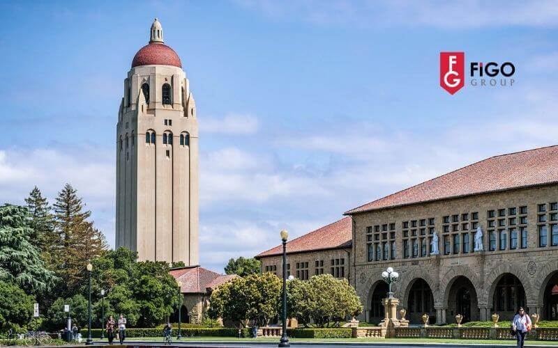 TOP trường đại học đào tạo STEM hàng đầu ở Mỹ Đại học Stanford