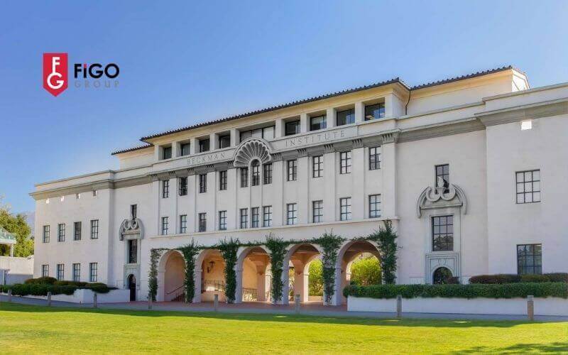 TOP trường đại học đào tạo STEM hàng đầu ở Mỹ Viện Công nghệ California