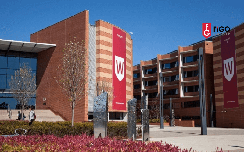 trc6b0e1bb9dng20c491e1baa1i20he1bb8dc20c39ac20he1bb8dc20phc3ad20the1baa5p20c490e1baa1i20he1bb8dc20western20sydney trường đại học Úc học phí thấp Đại Học Western Sydney