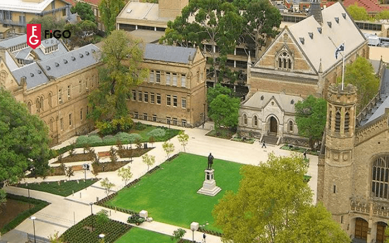 trc6b0e1bb9dng20c491e1baa1i20he1bb8dc20hc3a0ng20c491e1baa7u20e1bb9f20c39ac20c490e1baa1i20he1bb8dc20adelaide20 trường đại học hàng đầu ở Úc Đại học Adelaide
