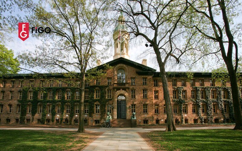 trc6b0e1bb9dng20c491e1baa1i20he1bb8dc20hc3a0ng20c491e1baa7u20e1bb9f20me1bbb920c491e1baa1i20he1bb8dc20princeton20university TRường đại học tốt nhất ở Mỹ Princeton