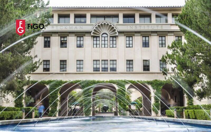 trc6b0e1bb9dng20c491e1baa1i20he1bb8dc20hc3a0ng20c491e1baa7u20e1bb9f20me1bbb920vie1bb87n20cc3b4ng20nghe1bb8720california20institute20of20technology trường đại học hàng đầu ở Mỹ California Institute of Technology - Viện Công nghệ California