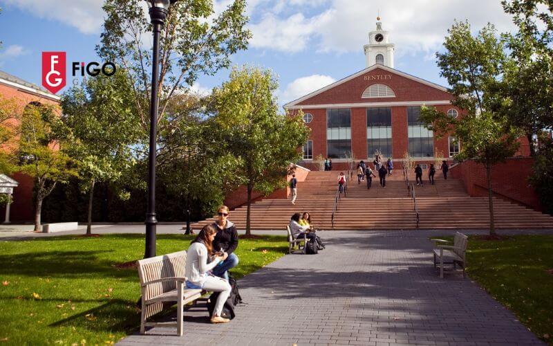 trc6b0e1bb9dng20regional20colleges20lc3a020gc3ac Trường Regional Colleges ở Mỹ là gì