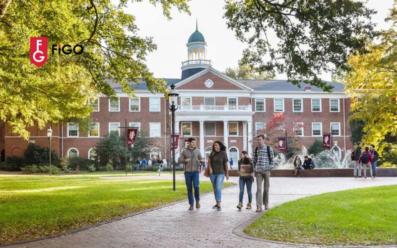 trc6b0e1bb9dng20regional20universities20lc3a020gc3ac Trường Regional Universities là gì