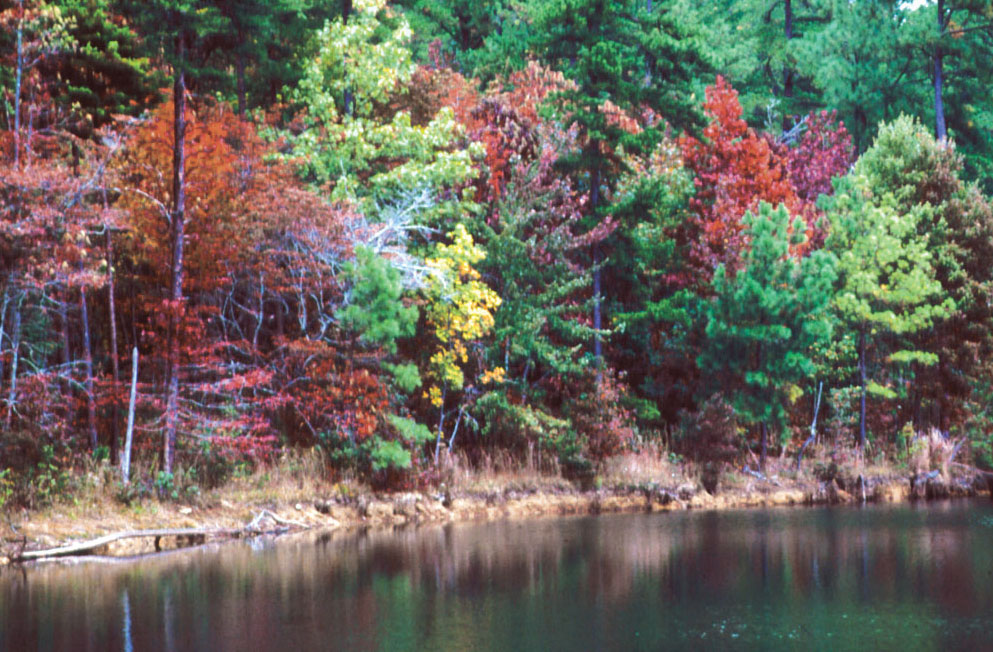 Khí hậu ôn hòa dễ chịu