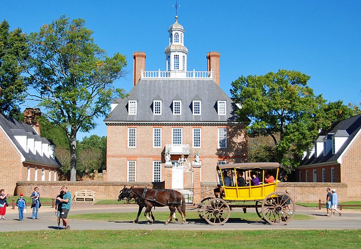 unnamed-204 Môi trường sống