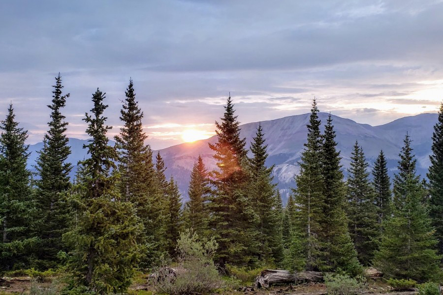 unnamed-268 Khung cảnh rừng bang Oregon