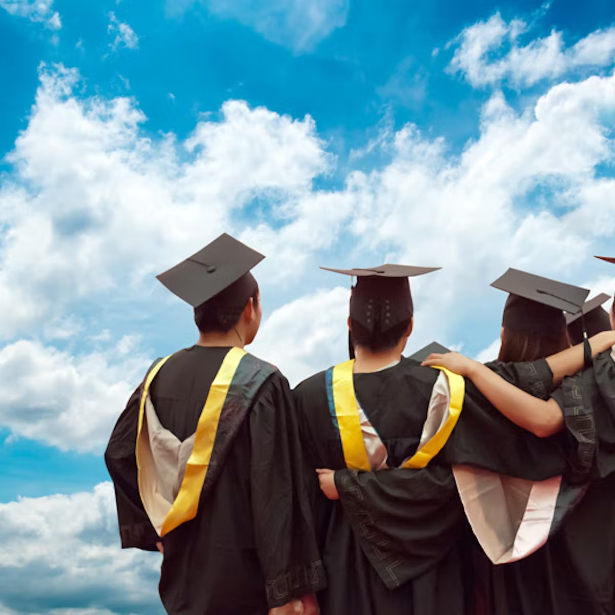 unnamed-291 New South Wales tập trung các trường đại học hàng đầu thế giới