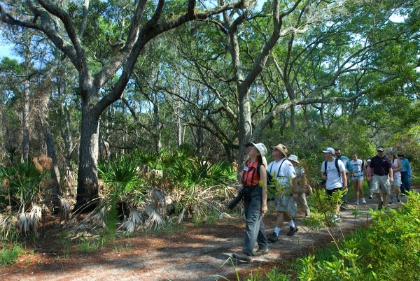 unnamed-293 Florida dung hòa với thiên nhiên