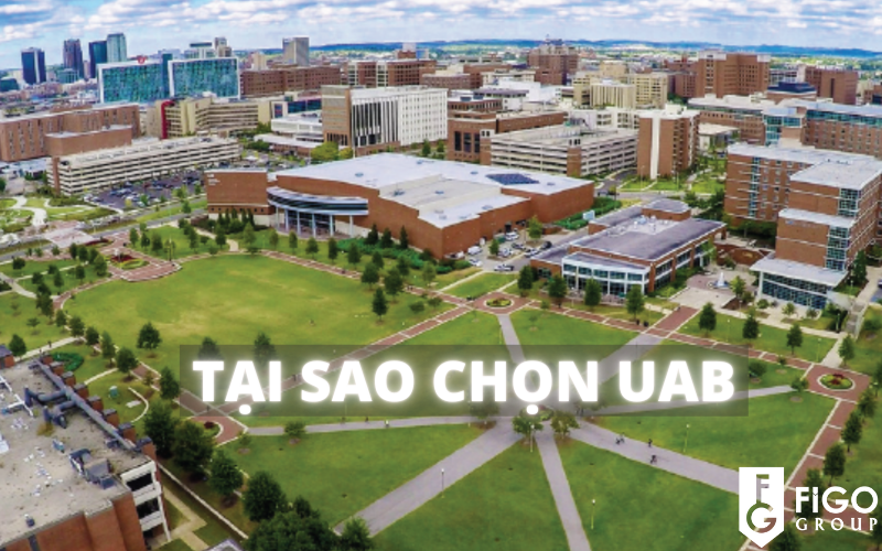 unnamed-736 Du học ở UAB