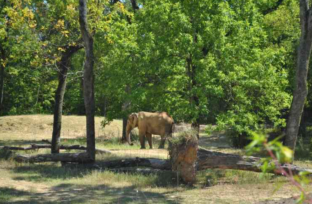 Sở thú Birmingham