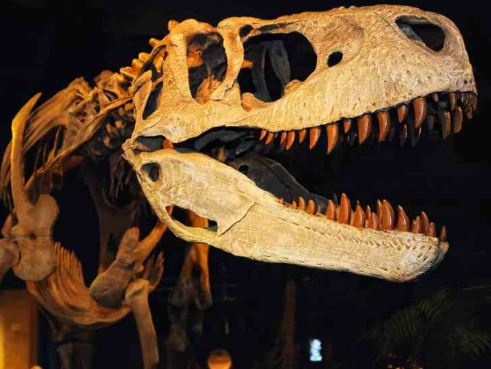 Trung tâm khoa học McWane