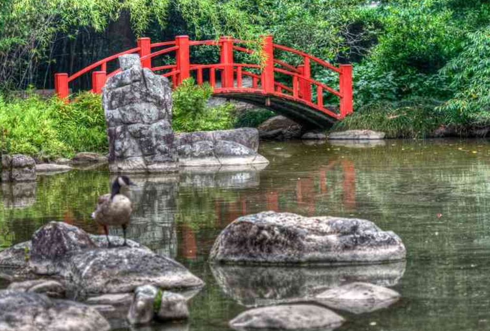 Vườn bách thảo Huntsville