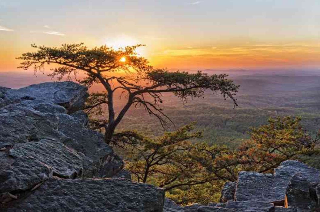 Công viên tiểu bang Cheaha