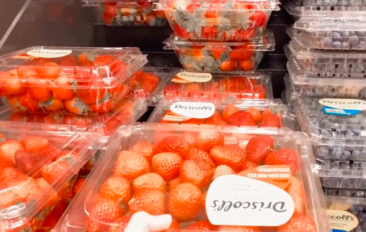 tự chuẩn bị bữa sáng cho mình