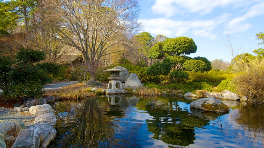 unnamed-861 Vườn Bách thảo Norfolk