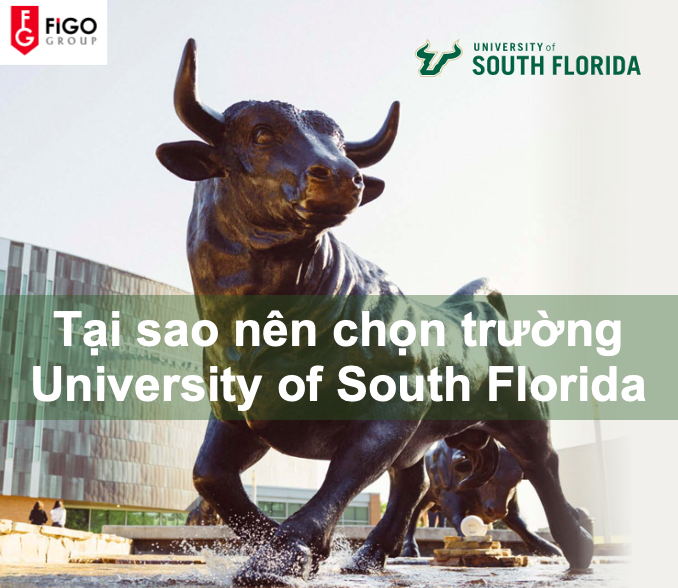 unnamed-927 du học sinh Mỹ nên chọn trường University of South Florida