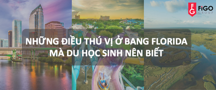 unnamed-958 du học bang Florida