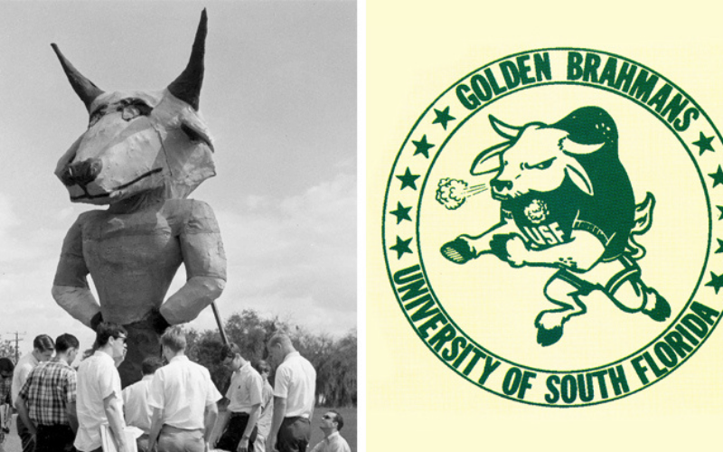 unnamed-969 USF linh vật