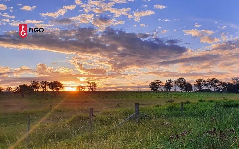 vc3b9ng20regional20c39ac20lc3a020gc3ac Vùng Regional Úc là gì